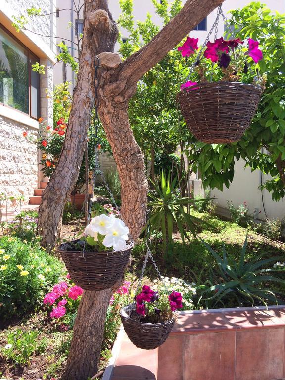 Miriam Short Term Rental Nazareth Exterior photo